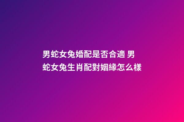 男蛇女兔婚配是否合適 男蛇女兔生肖配對姻緣怎么樣
